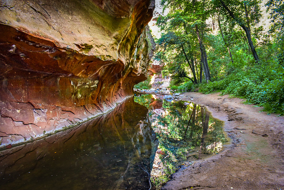 West Fork / Call of the Canyon Wilderness Sedona, AZ