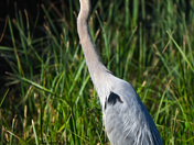 Everglades National Park 