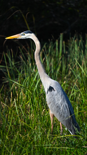 Everglades National Park 