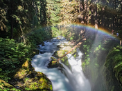 Olympic National Park