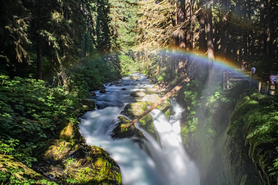 Olympic National Park