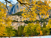 Yosemite National Park