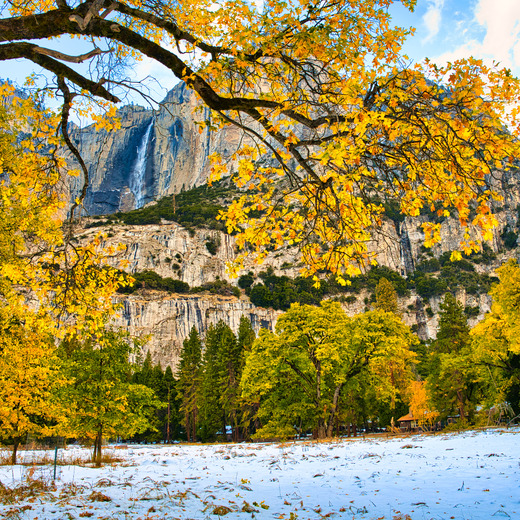Yosemite National Park