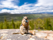Rocky Mountain National Park