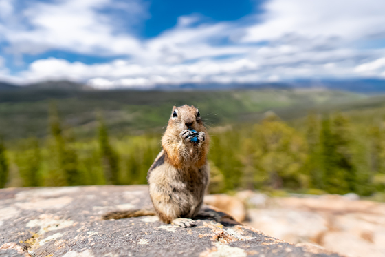 Rocky Mountain National Park