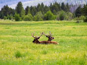 Rocky Mountain National Park