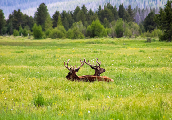Rocky Mountain National Park