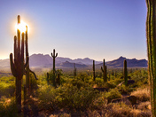 Superstition Wilderness Area, AZ