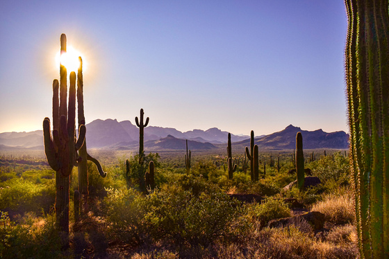 Superstition Wilderness Area, AZ