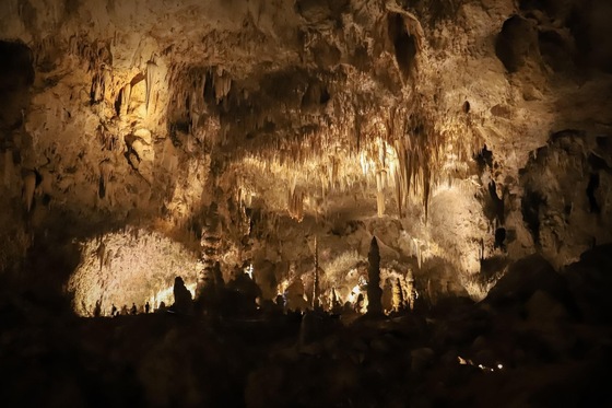 Carlsbad Caverns National Park 