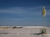 White Sands National Park