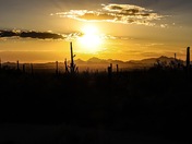 Saguaro National Park