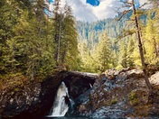 Wynoochee Falls