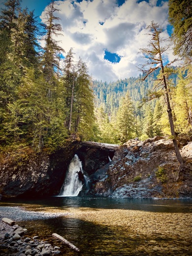Wynoochee Falls