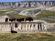 Badlands National Park