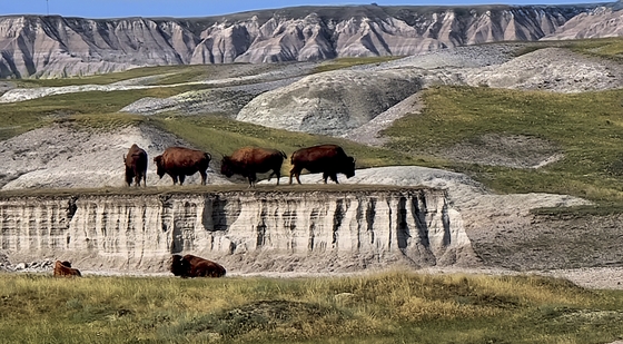 Badlands National Park