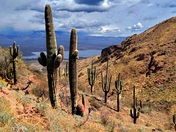 Tonto National Monument