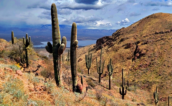 Tonto National Monument