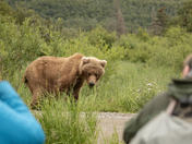 Katmai Nationa Park & Preserve