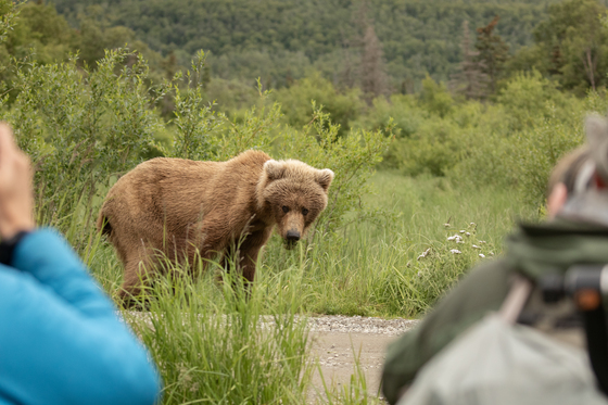 Katmai Nationa Park & Preserve