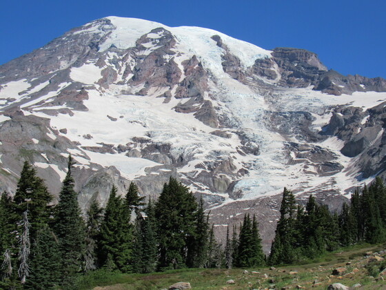 Mt. Rainier National Park 