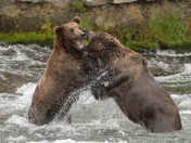 Katmai National Park & Preserve