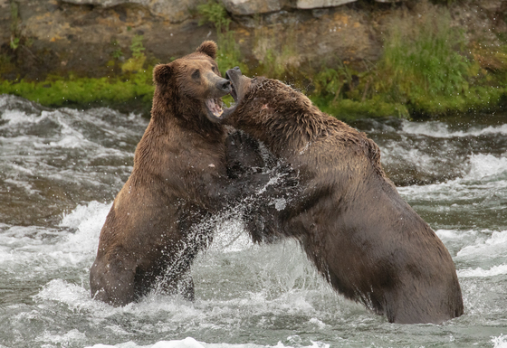 Katmai National Park & Preserve