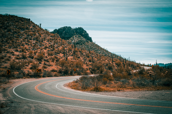 Coronado National Forest