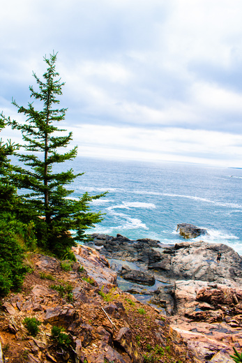 Acadia National Park