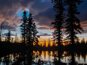 Uinta National Forest