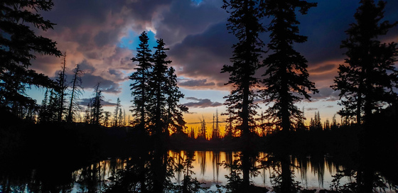 Uinta National Forest