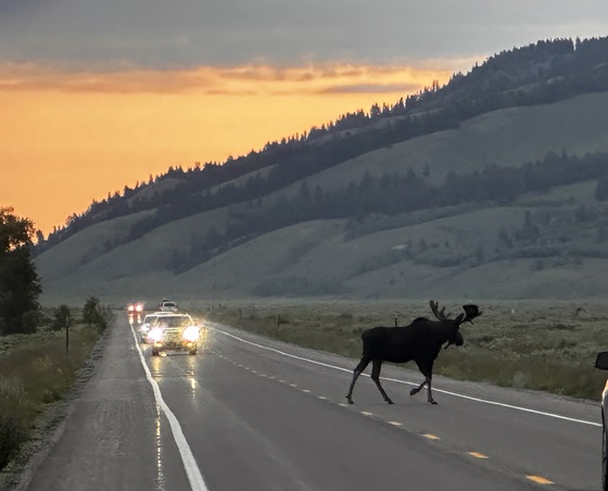 Grand Teton National Park