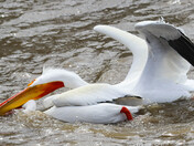 Attack! - 3