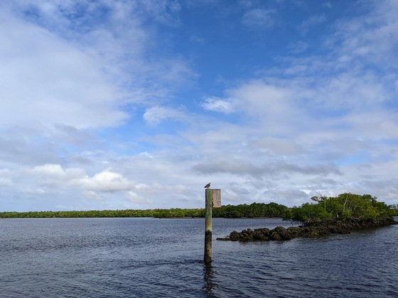Everglades National Park