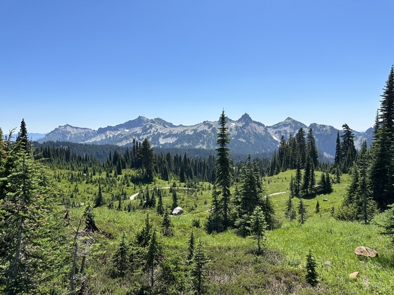 Paradise at Mount Rainier National Park 