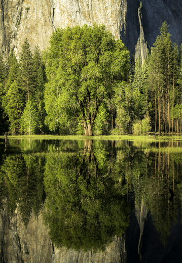 Yosemite National Park