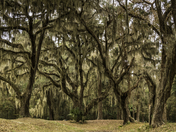 Fort Frederica National Monument