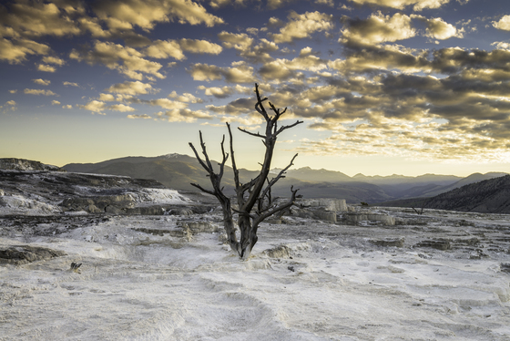 Yellowstone National Park