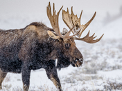 Grand Teton National Park