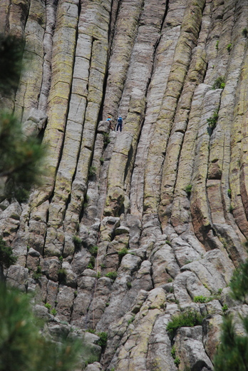 Devil's Tower