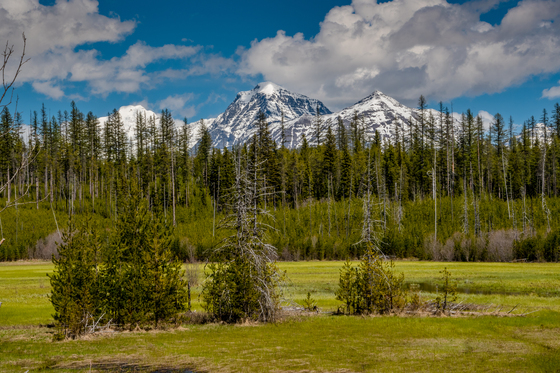 Glacier National Park