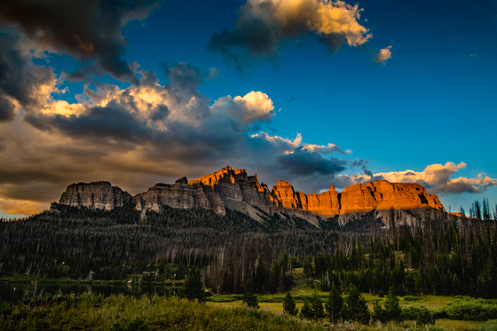 Bridger- Teton National Forest