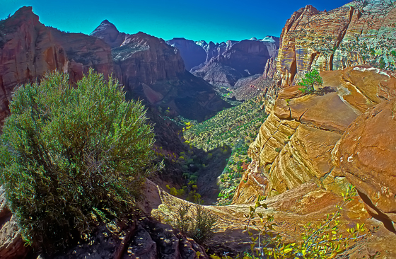 Zion National Park