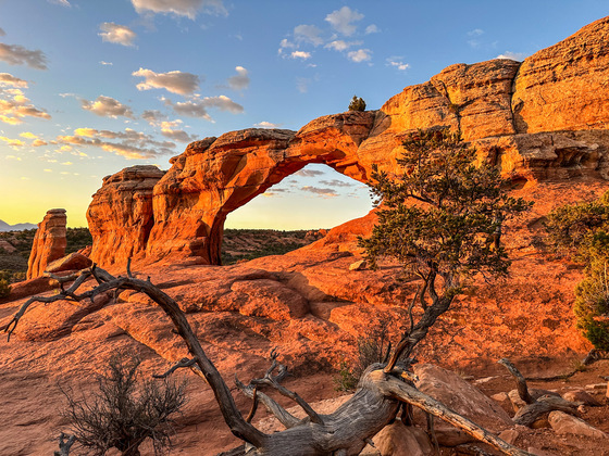 Arches National Park 