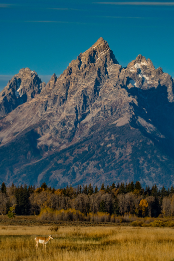 Grand Teton National Park