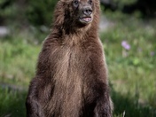 Grand Teton National Park