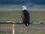 Grand Teton National Park