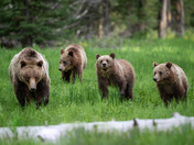 Grand Teton National Park
