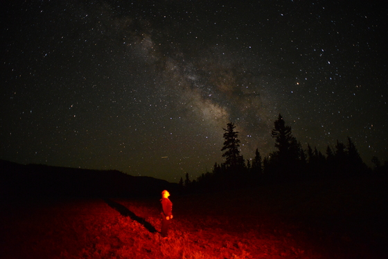 Fishlake National Forest 