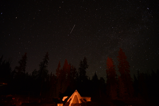 Fishlake National Forest 